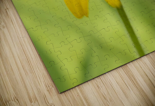 Brown Betty Suzanne Bonin puzzle