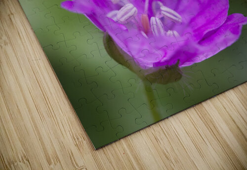 Wild One Suzanne Bonin puzzle