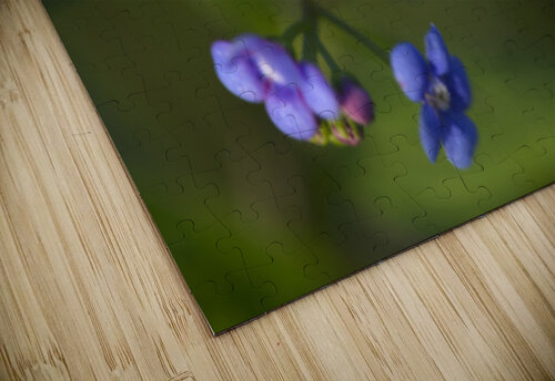Beautiful in Blue Suzanne Bonin puzzle