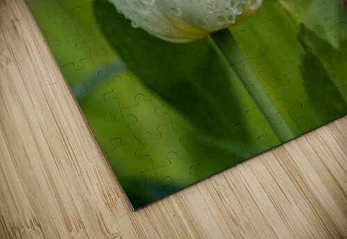 The Plumpy One Suzanne Bonin puzzle