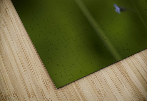 Tiny Blue Beauties Suzanne Bonin puzzle