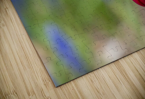 Me Myself I Suzanne Bonin puzzle