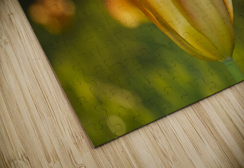 Wonderful Day Suzanne Bonin puzzle