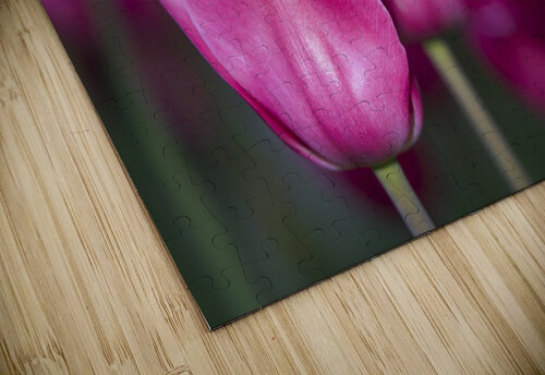 Three Amigos Suzanne Bonin puzzle