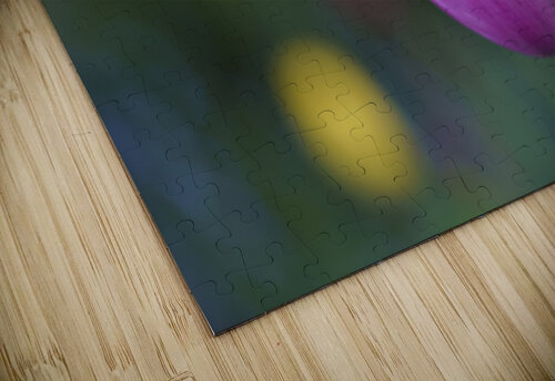 Soothing Space Suzanne Bonin puzzle