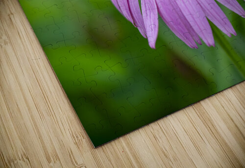 Ruby Star Suzanne Bonin puzzle