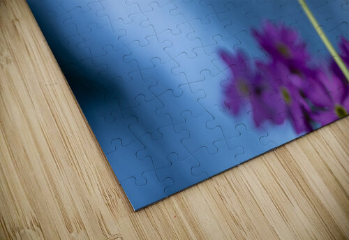 Pink and Blue Suzanne Bonin puzzle