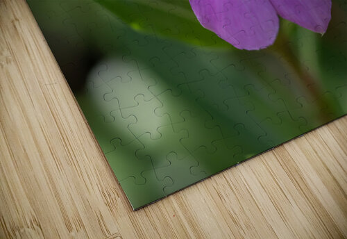 Pink Periwinkle Suzanne Bonin puzzle