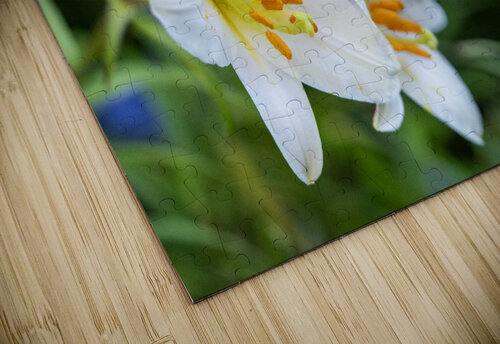 Easter Lily Suzanne Bonin puzzle