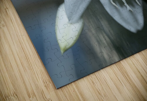 Pearly Radiance Suzanne Bonin puzzle