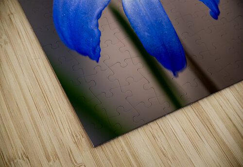 Call Me Lucile Suzanne Bonin puzzle