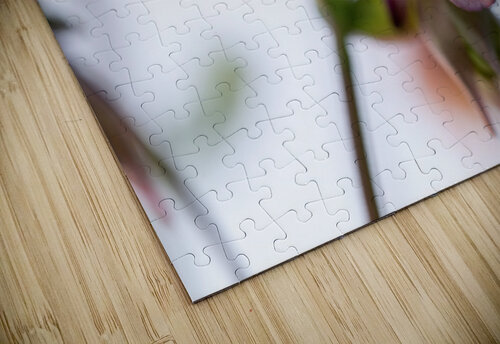 Delicacy Suzanne Bonin puzzle