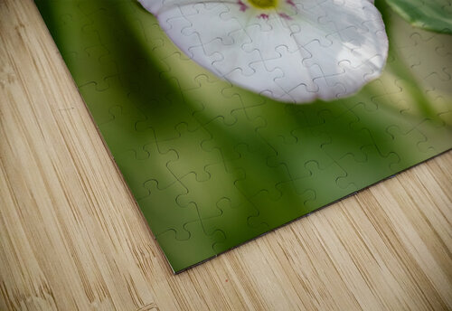 Little Glass Suzanne Bonin puzzle