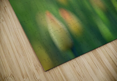 Pretty Field Suzanne Bonin puzzle