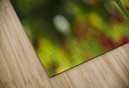 Darling Suzanne Bonin puzzle