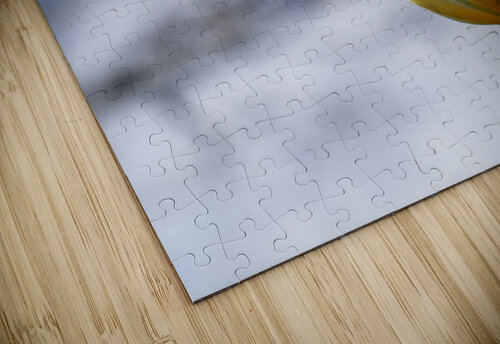 Head in the Clouds Suzanne Bonin puzzle