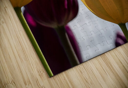 Enchanting Beauty Suzanne Bonin puzzle