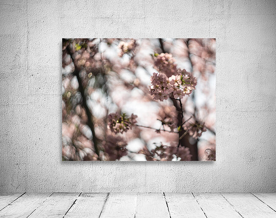 Sunny Serenity Wall Preview