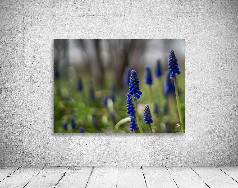 Paradise Perfection Wall Preview