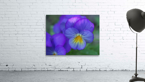 Blueness Wall Preview