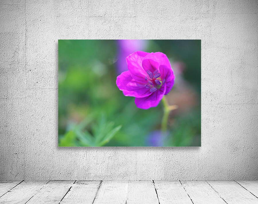 Little Bead Wall Preview