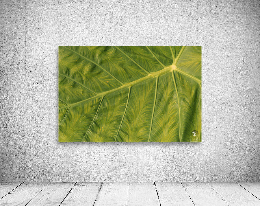 Giant  Leaf Wall Preview