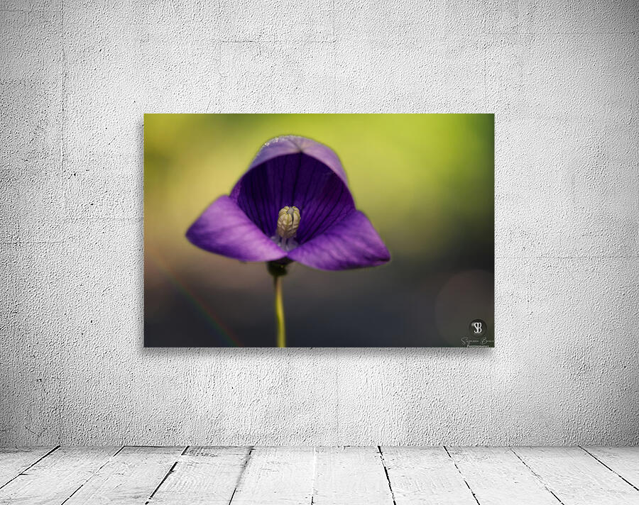 Welcome Wall Preview