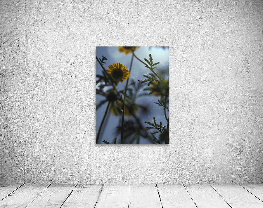 Ant Eye View Wall Preview