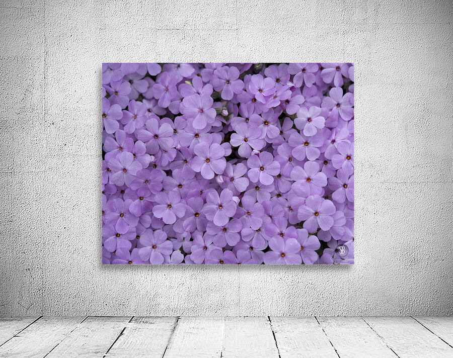 Pink Groundcover Wall Preview