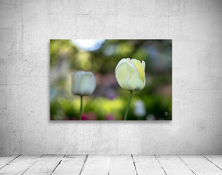 Pure and Simple Wall Preview