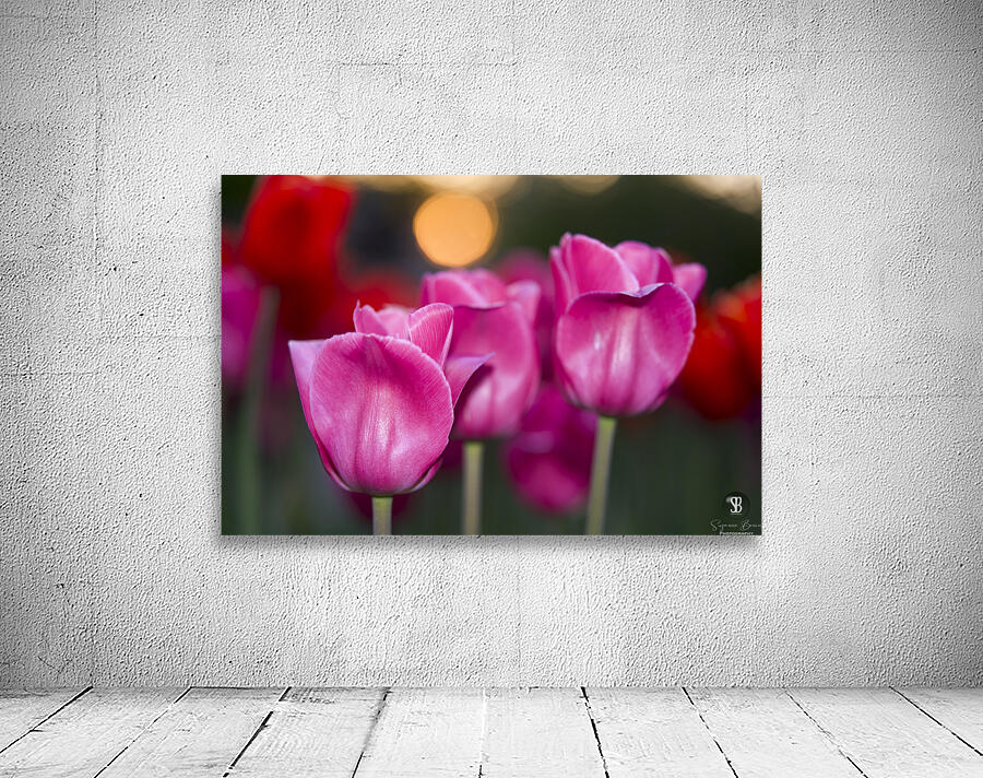 Three Amigos Wall Preview