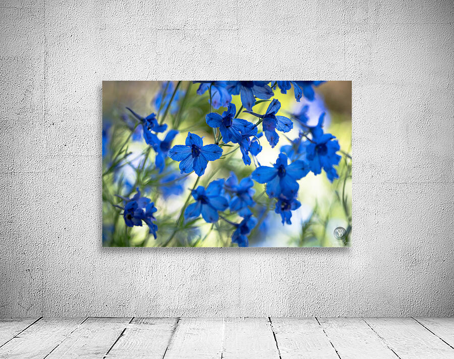 Bluest Blue Flowers Wall Preview