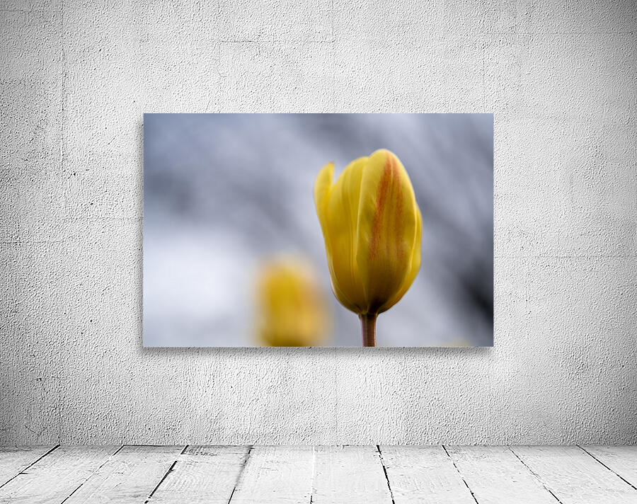 Yellow Whisperings Wall Preview