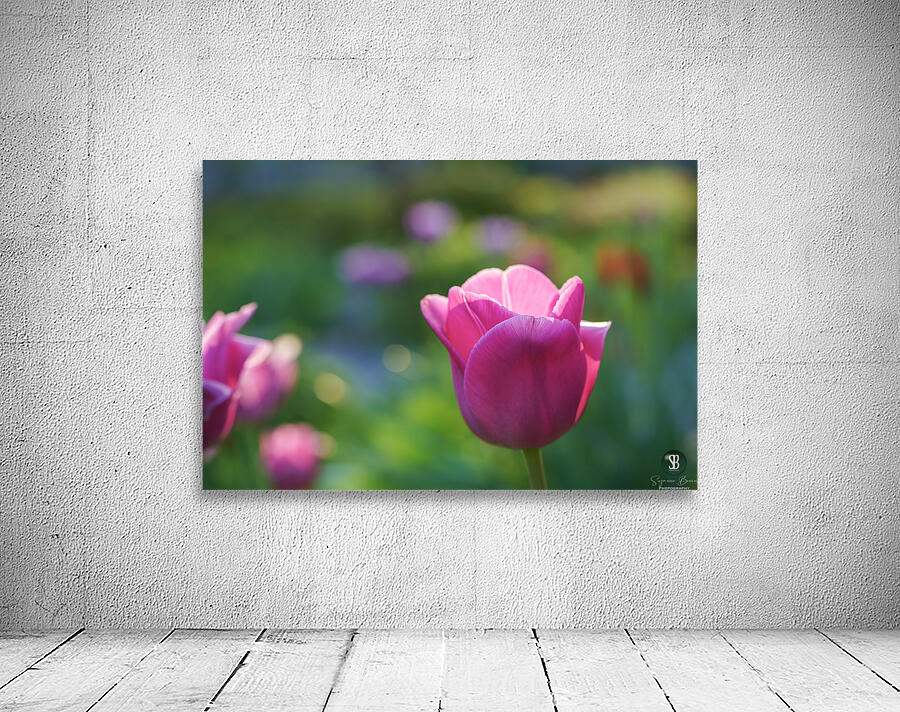 Peace Lady Wall Preview