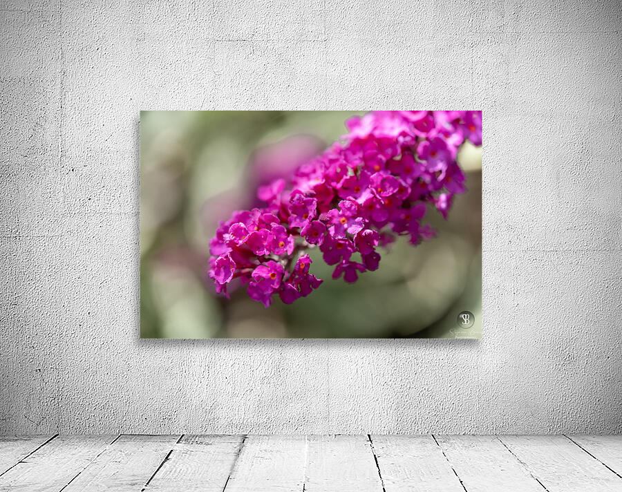 Orange Eye Wall Preview