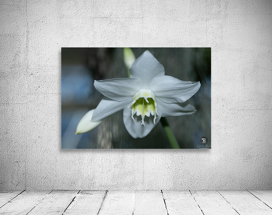 Pearly Radiance Wall Preview