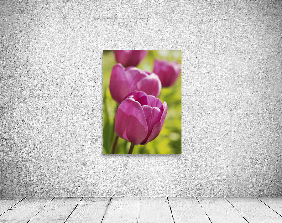 Follow the Leader Wall Preview