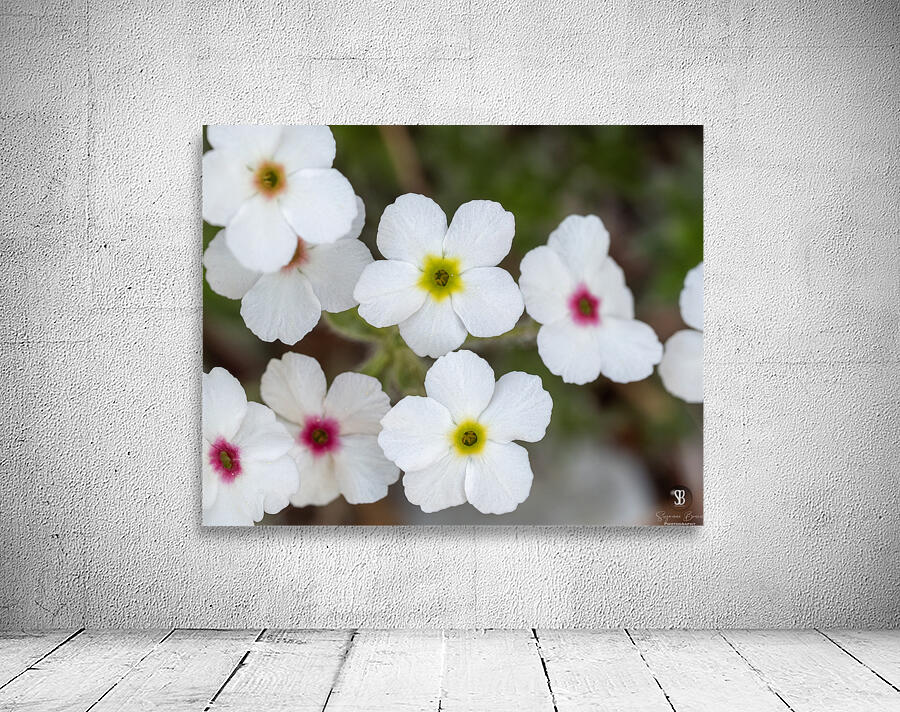 Colorful Dots Wall Preview