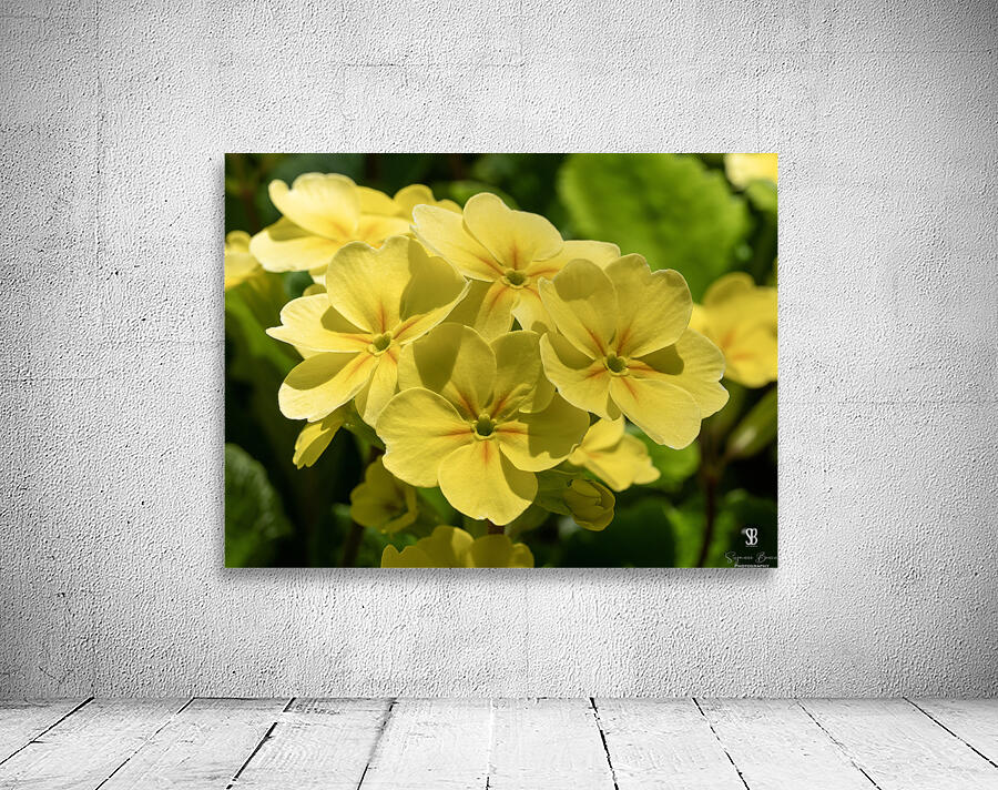 Cowslip Wall Preview