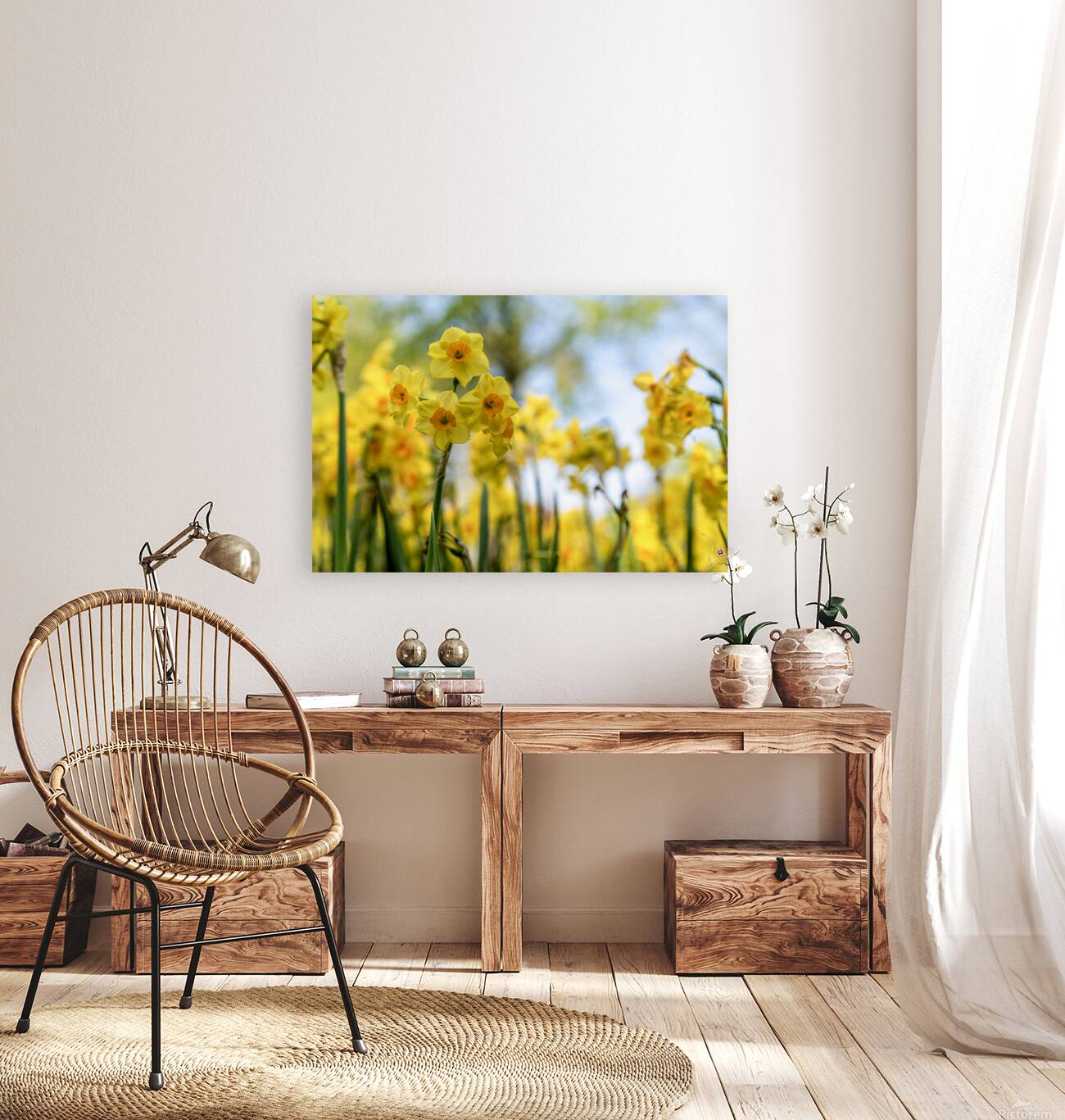  SBP6404 Reproduction