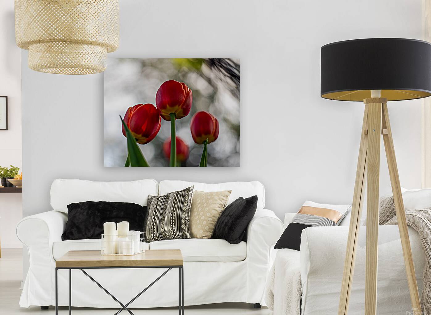  SBP8016 Reproduction