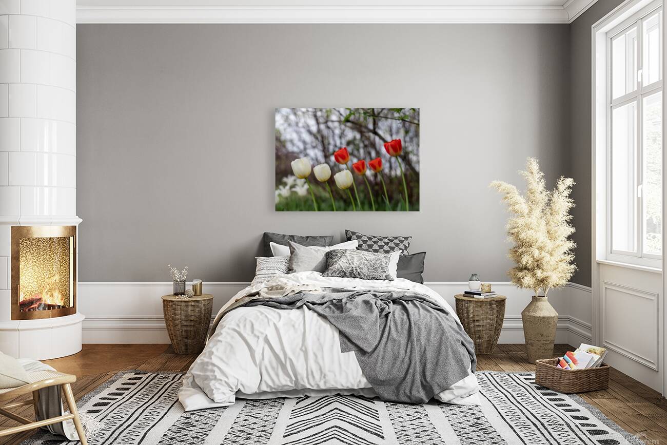 SBP8417 Reproduction