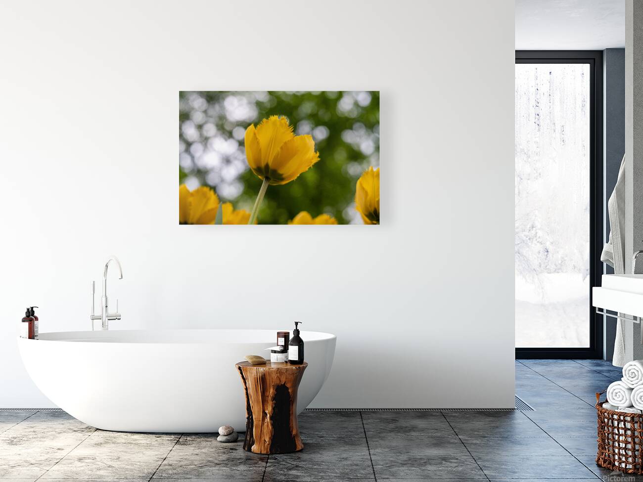 SBP5699 Reproduction