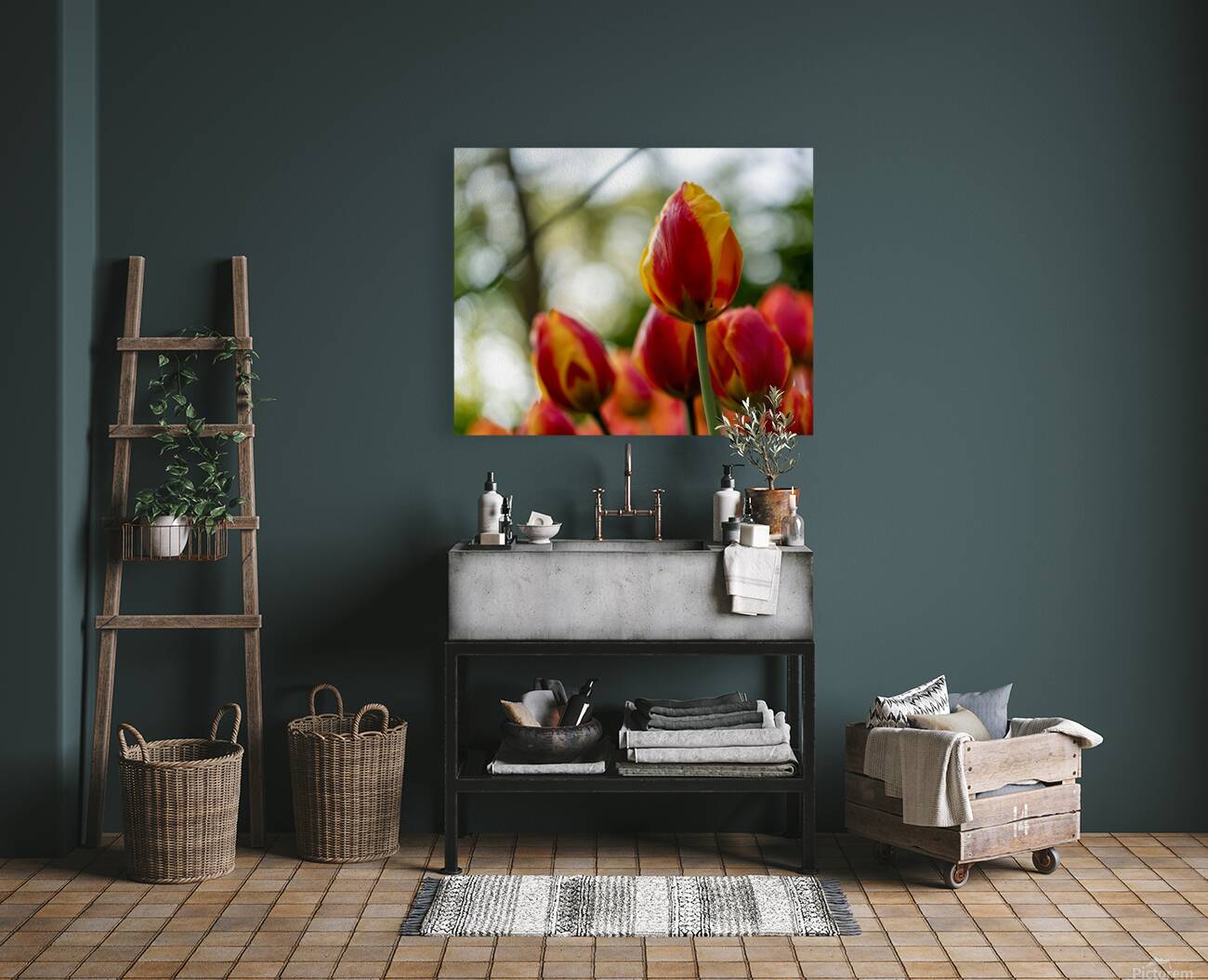 SBP6235 Reproduction