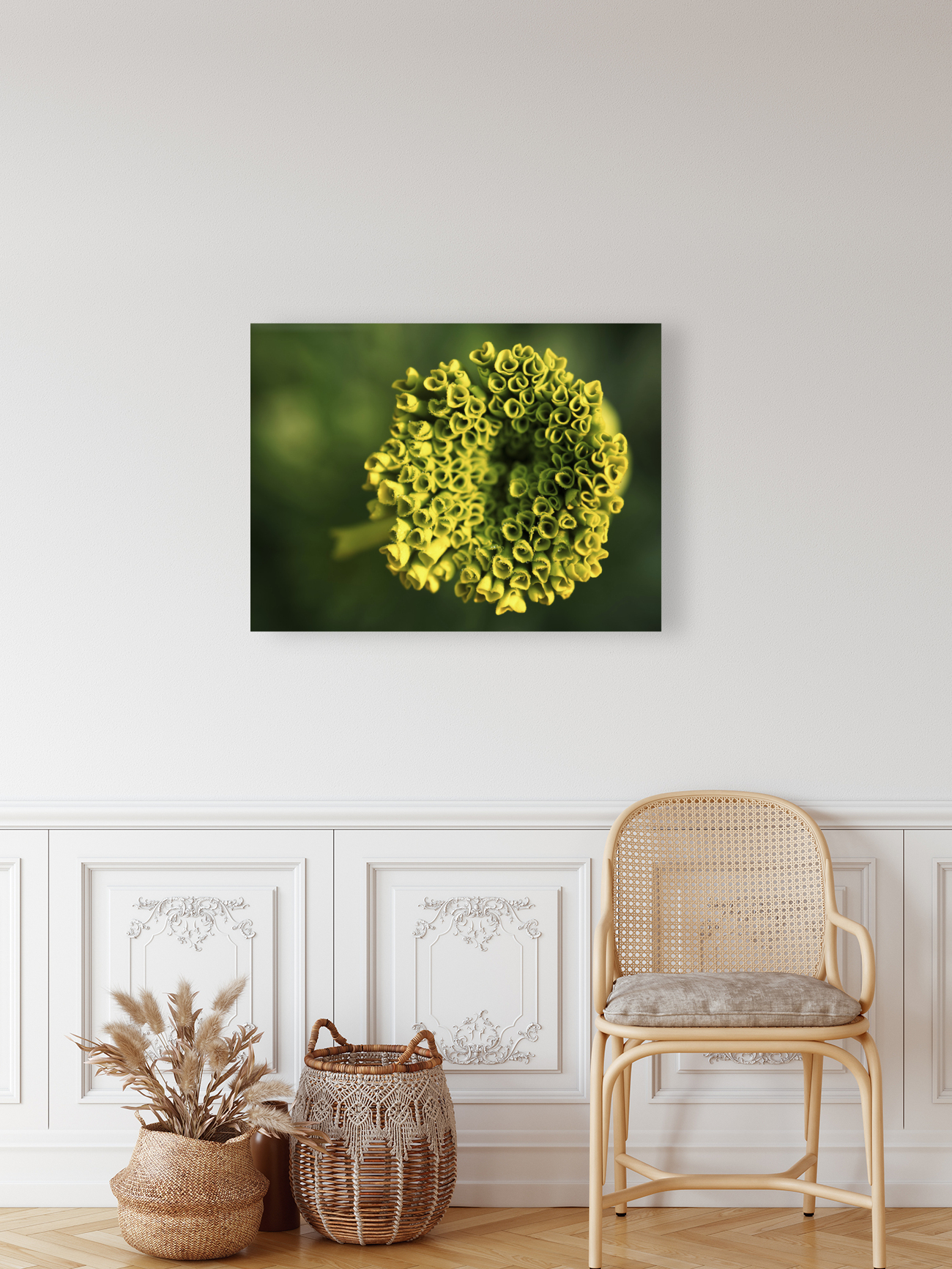 Ringlets Reproduction