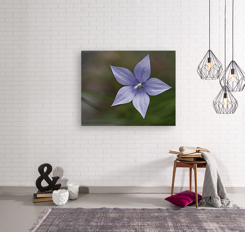 I See Blue Reproduction