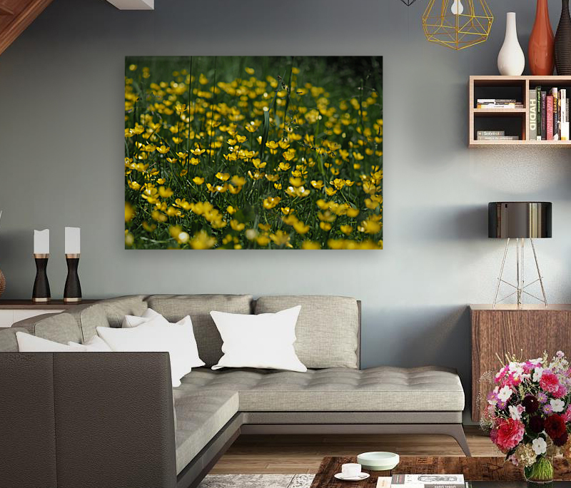 Tall Buttercup Field Reproduction