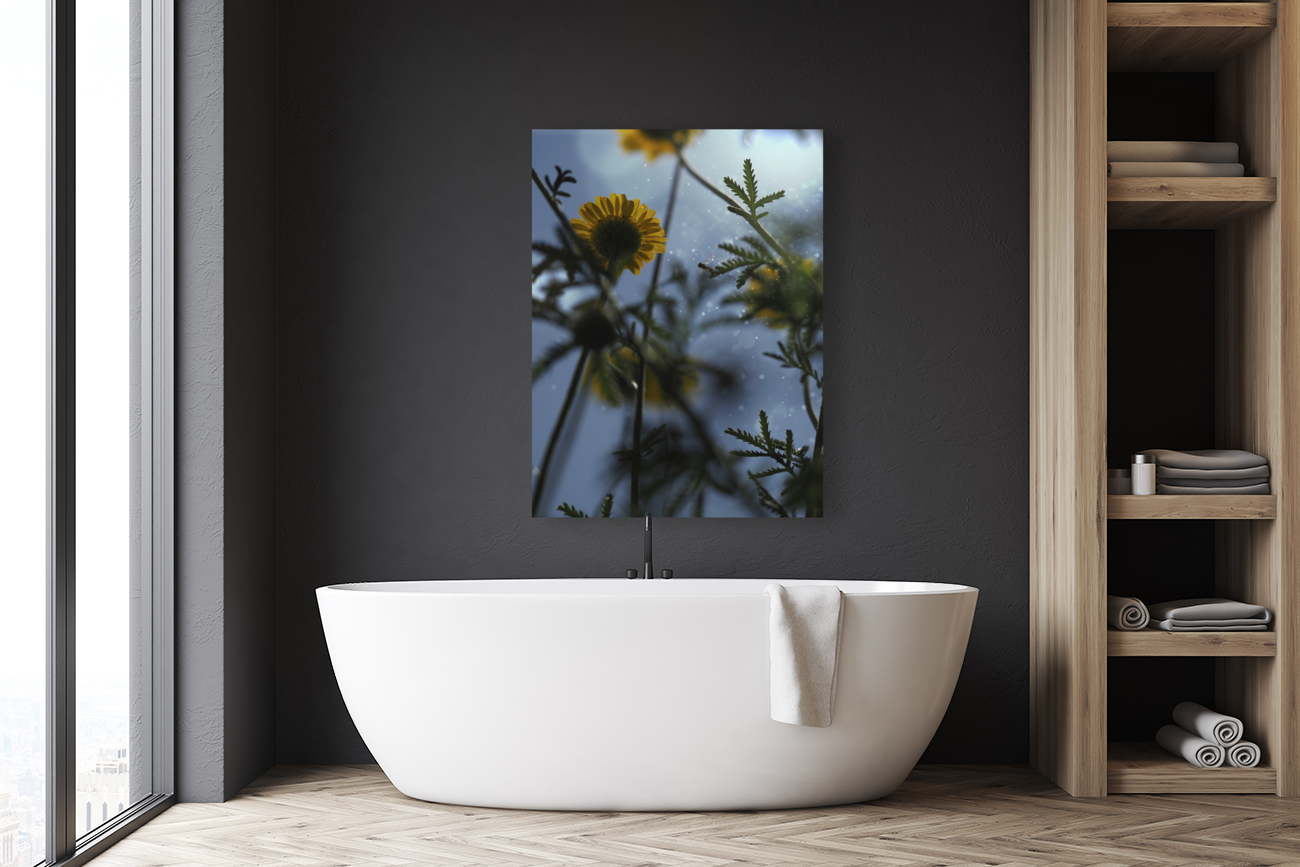 Ant Eye View Reproduction