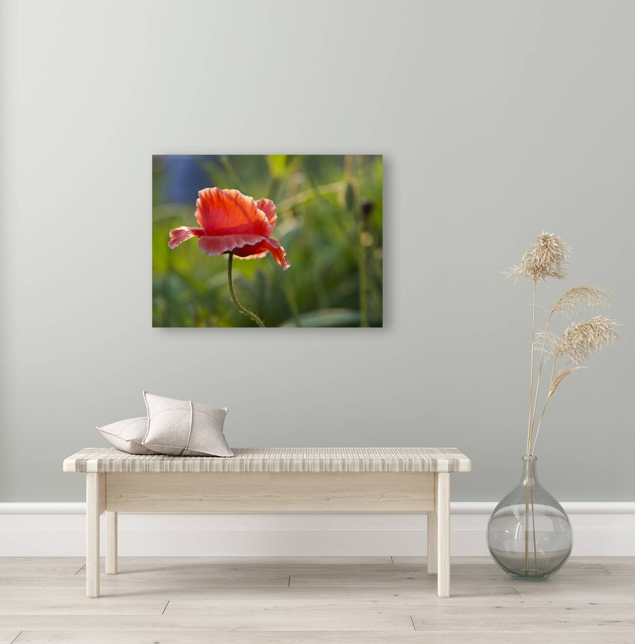 Color Burst Reproduction