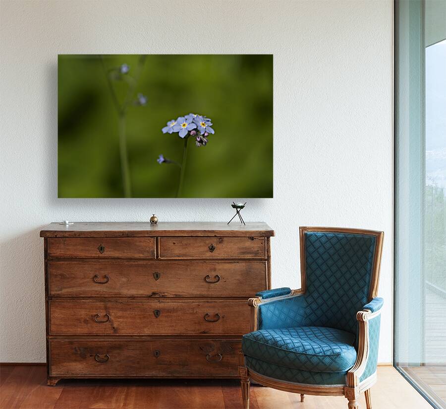 Tiny Blue Beauties Reproduction